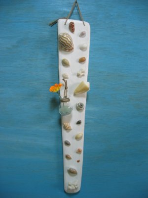 画像1: 貝殻とサンゴの壁飾り