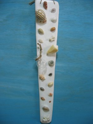 画像4: 貝殻とサンゴの壁飾り