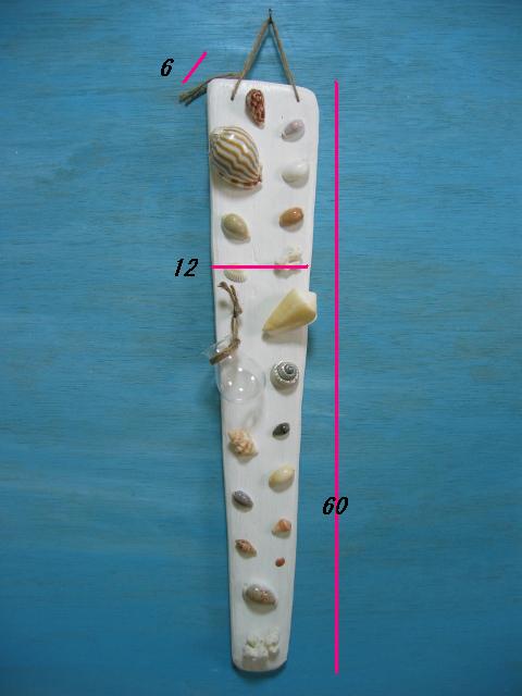 画像5: 貝殻とサンゴの壁飾り